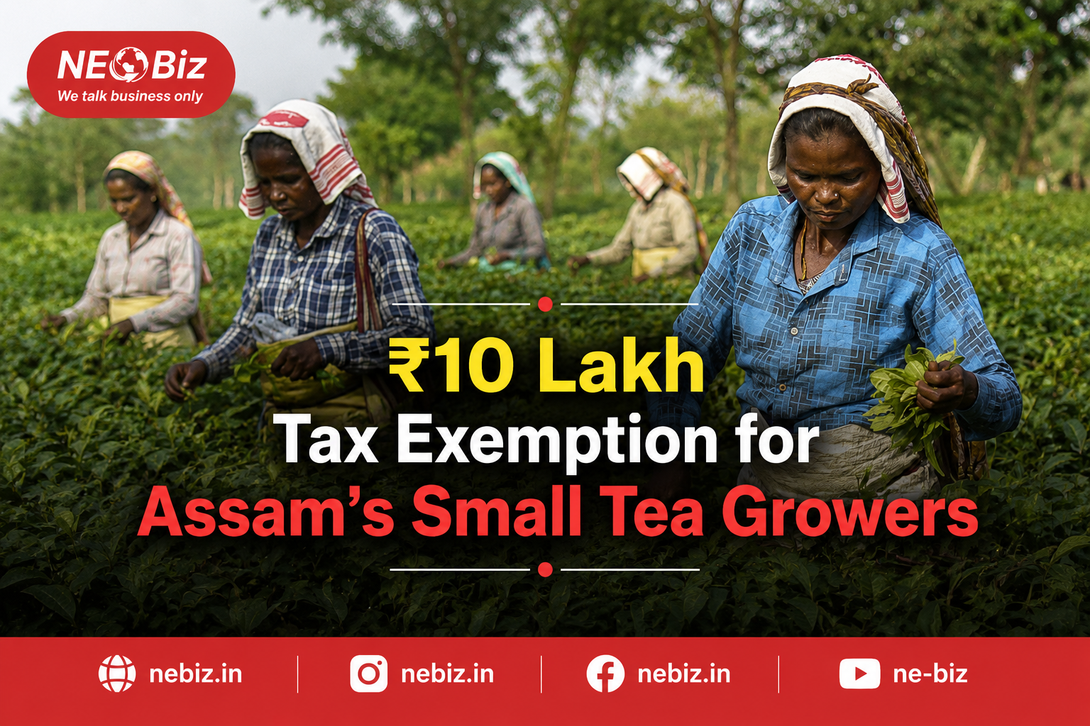₹10 Lakh Tax Exemption for Assam's Small Tea Growers