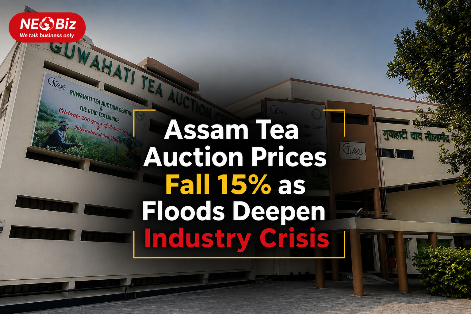 Assam Tea Auction Prices Fall 15% as Floods Deepen Industry Crisis