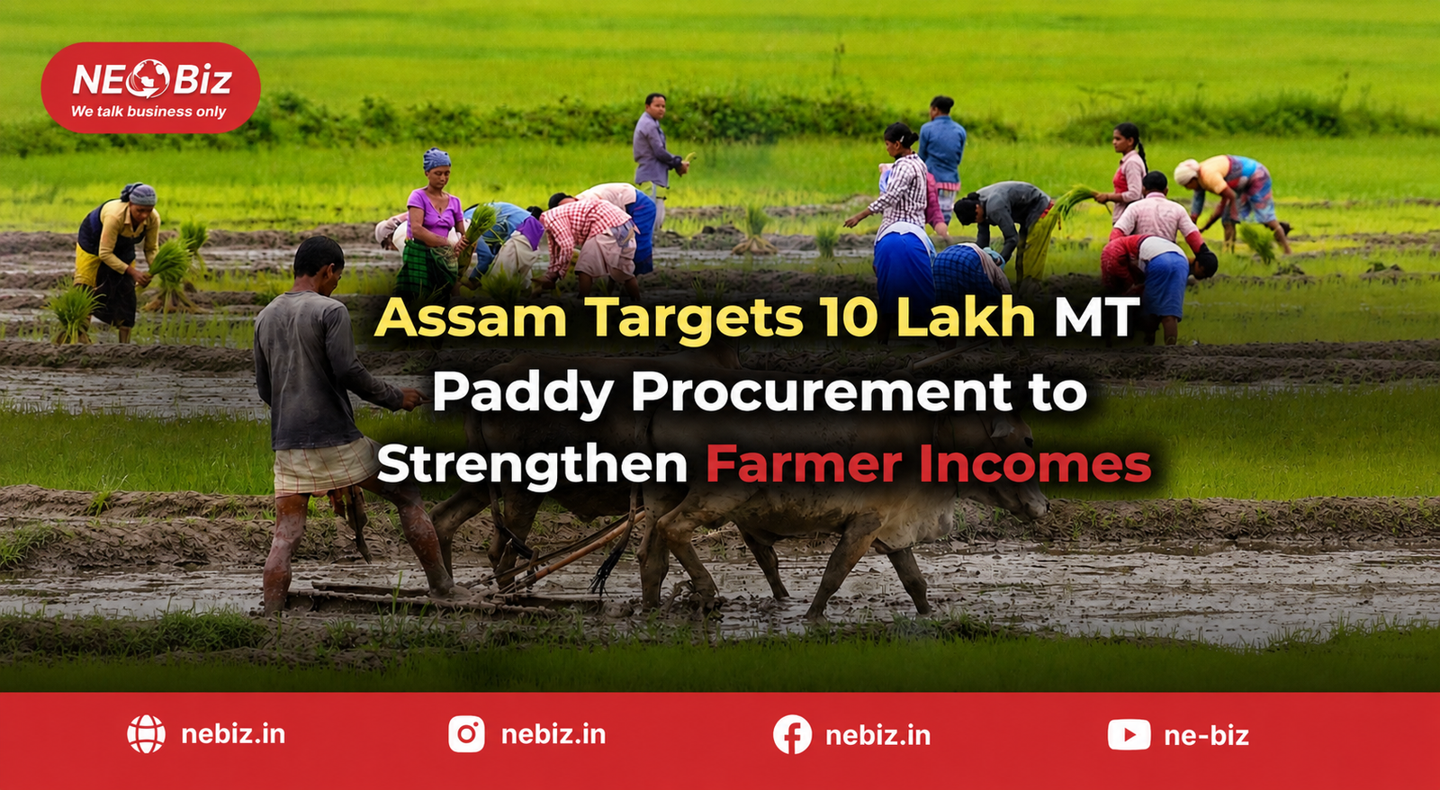 Assam Targets 10 Lakh MT Paddy Procurement to Strengthen Farmer Incomes