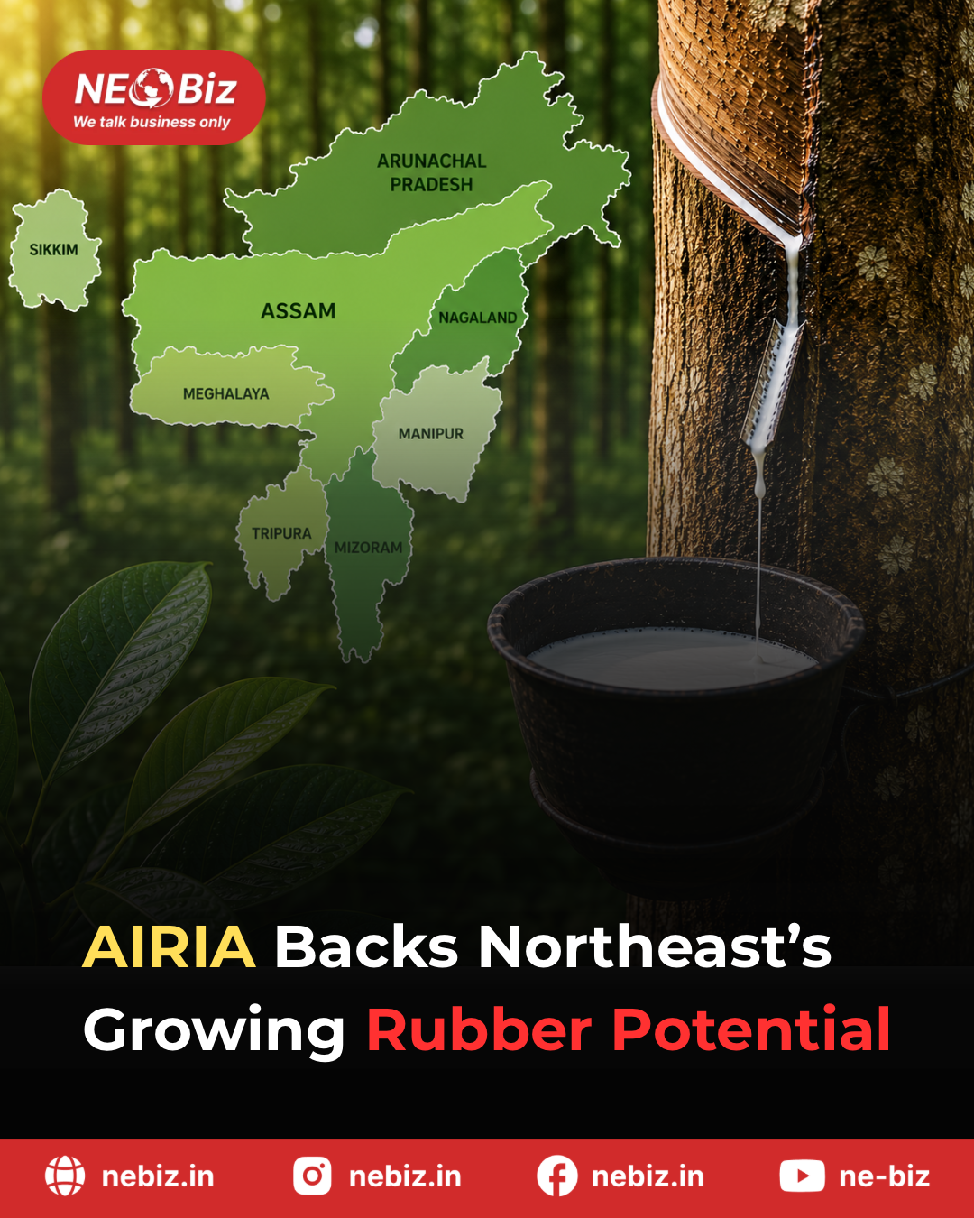 AIRIA Backs Northeast's Growing Rubber Potential